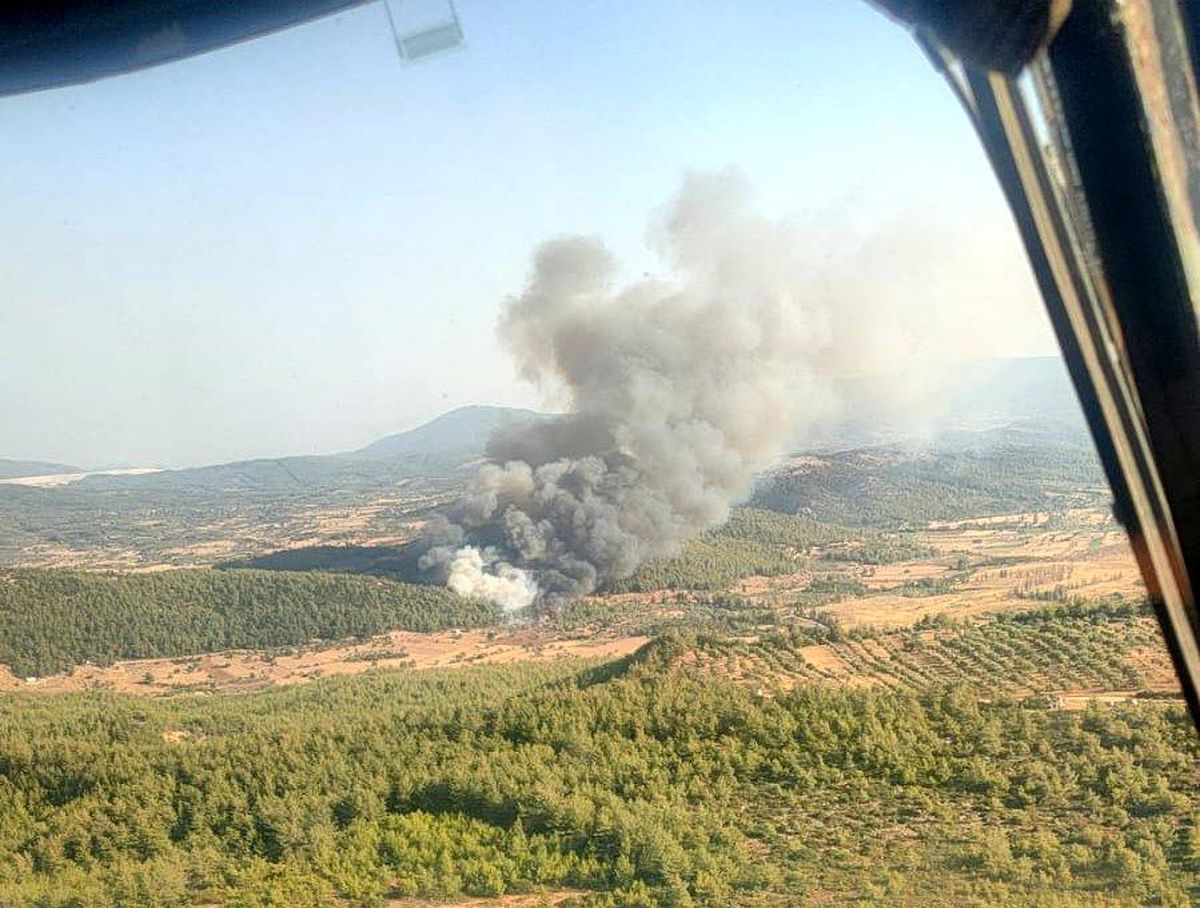 Muğla\'nın Milas ilçesinde ormanlık alanda yangın çıktı