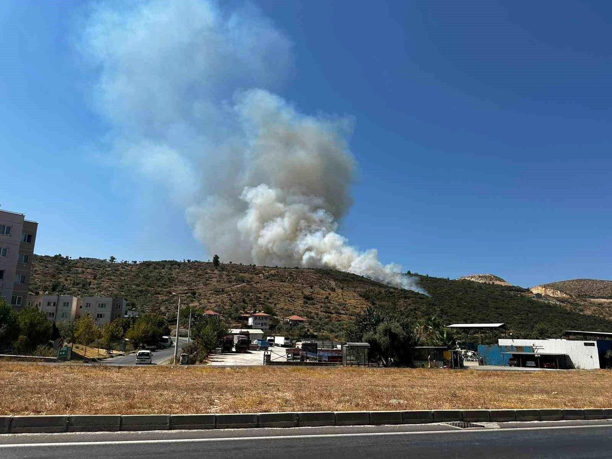 Muğla\'nın Milas ilçesinde zirai alanda çıkan yangın söndürülüyor