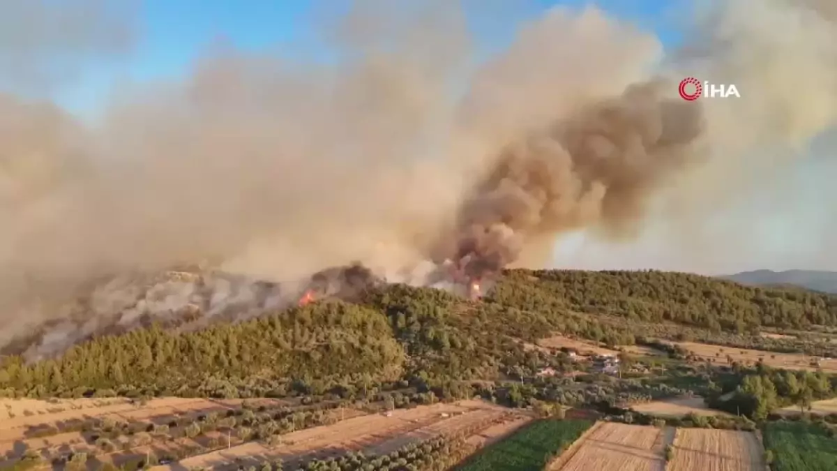 Milas\'taki orman yangını böyle görüntülendi