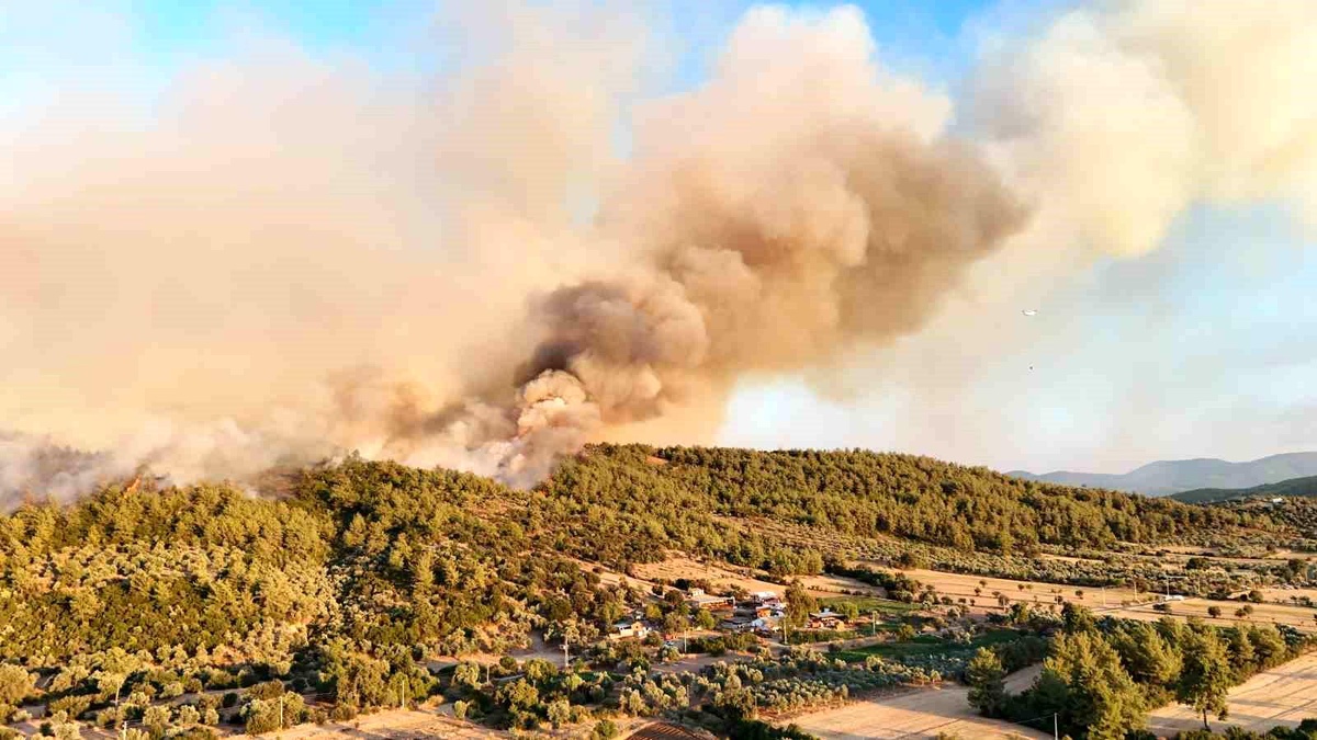Muğla\'da Geniş Alanı Kaplayan Orman Yangını Söndürme Çalışmaları Devam Ediyor