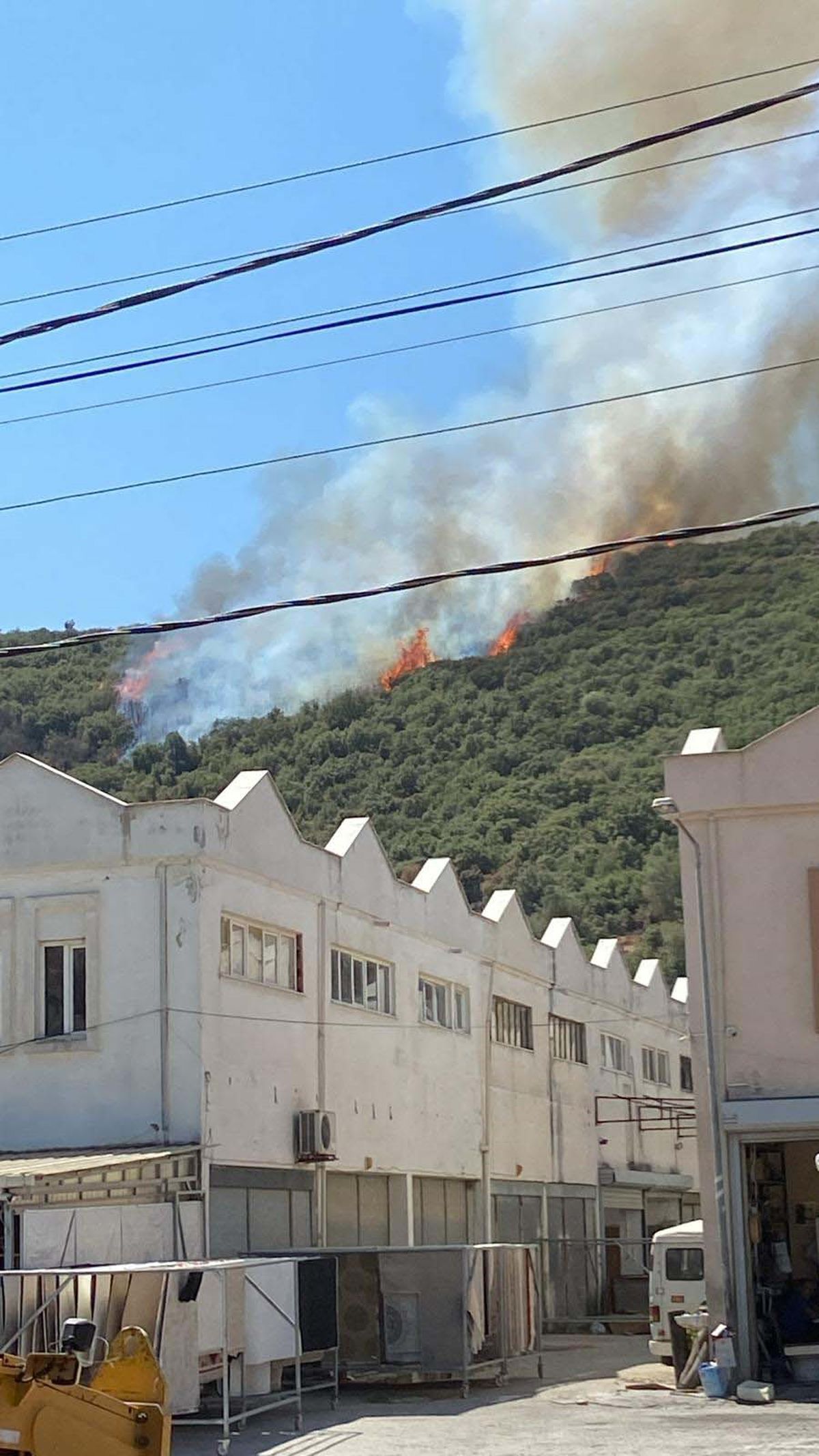 Muğla Milas\'ta Makilikte Yangın Çıktı