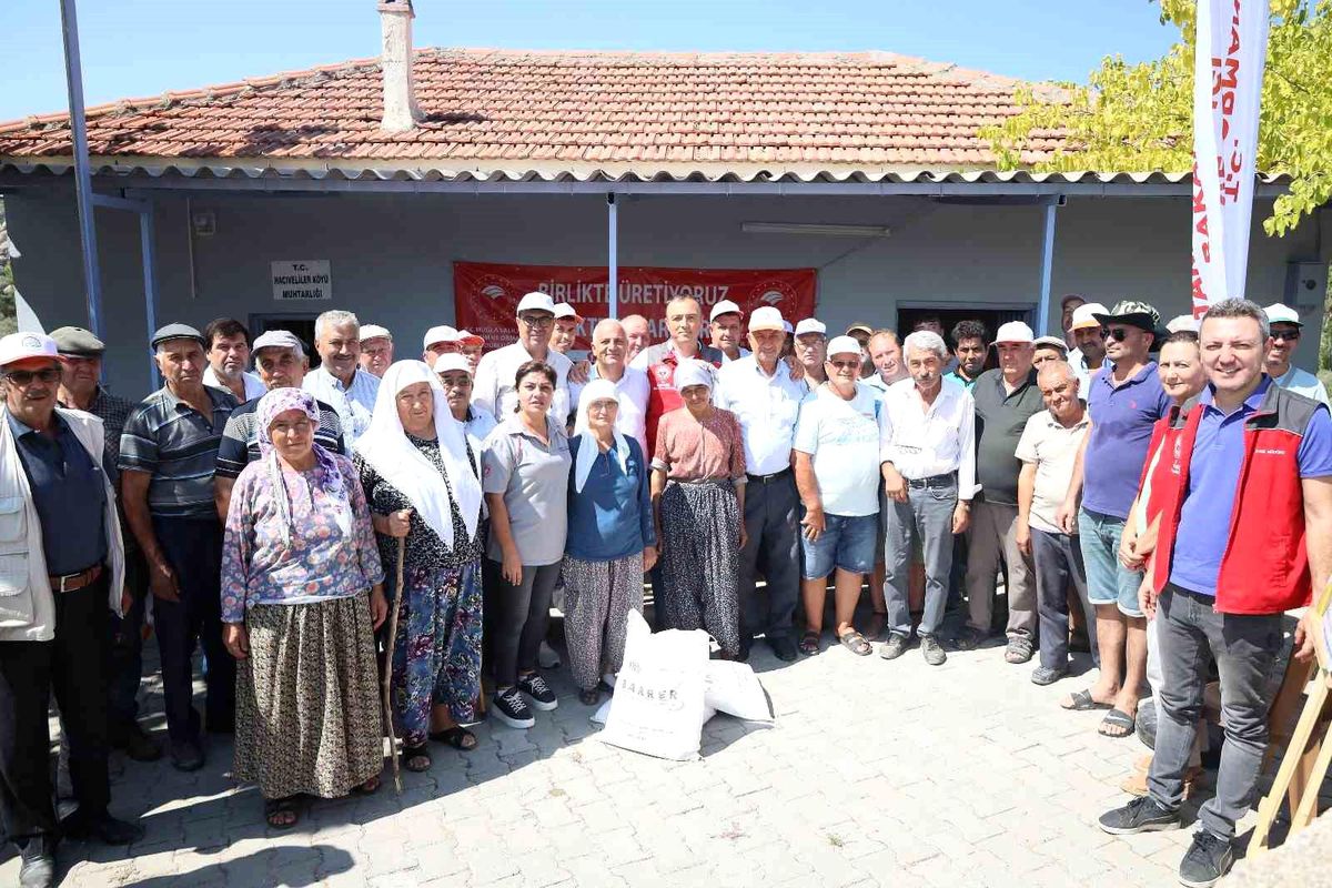 Muğla İl Tarım ve Orman Müdürlüğü, Zeytin Üreticilerine Ücretsiz Kaolin Kili Dağıtıyor