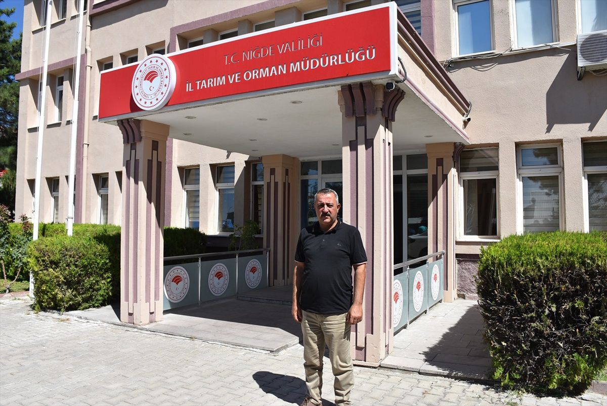Niğde\'de Patates Üretiminde Rekor Beklentisi