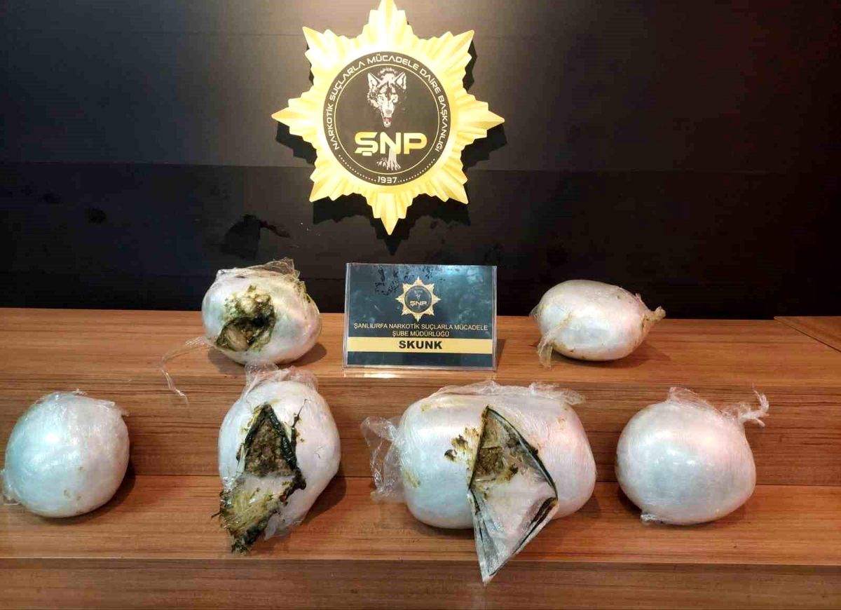 Şanlıurfa\'da 14 Kilo Skunk Ele Geçirildi
