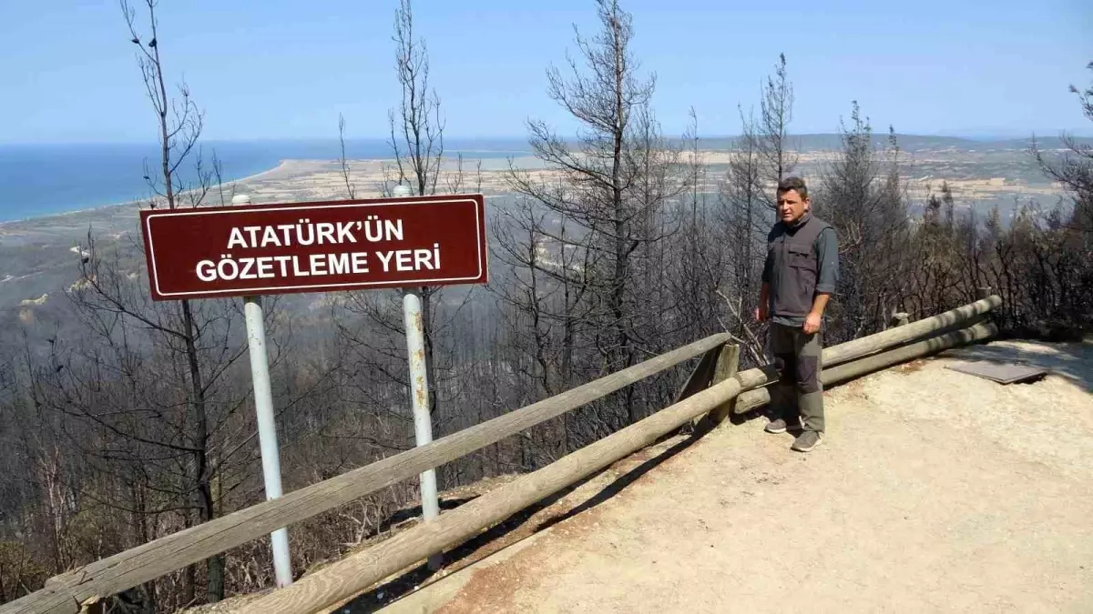 Çanakkale Savaşları Gelibolu Tarihi Alanı\'nda Yangın Sonrası İnceleme Yapıldı