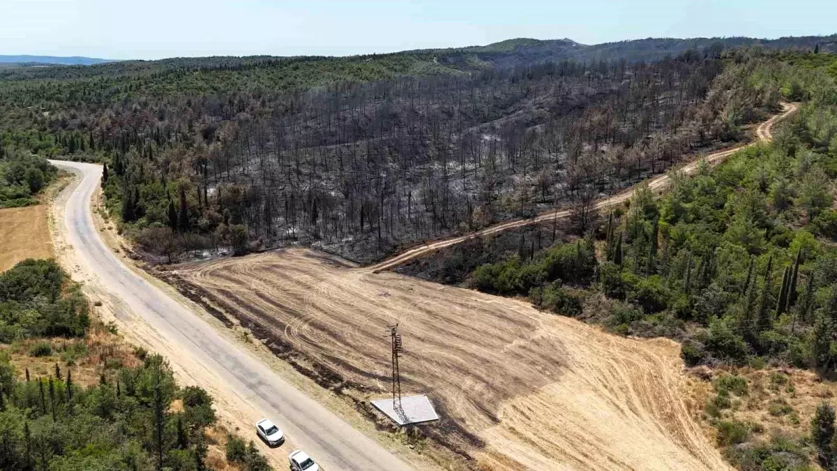 Çanakkale\'de Büyükanafarta köyü yakınlarında çıkan yangın dron ile görüntülendi