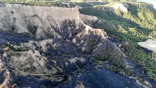 Çanakkale'de alevlerle mücadele sürüyor! Bir günde yaşanan kayıp gözler önüne serildi