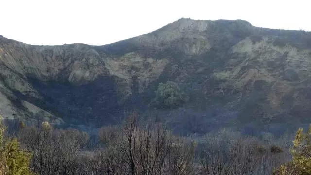 Çanakkale'de alevlerle mücadele sürüyor! Bir günde yaşanan kayıp gözler önüne serildi