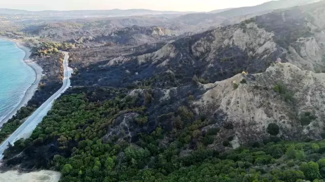 Çanakkale'de alevlerle mücadele sürüyor! Bir günde yaşanan kayıp gözler önüne serildi