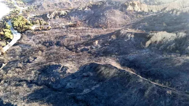 Çanakkale'de alevlerle mücadele sürüyor! Bir günde yaşanan kayıp gözler önüne serildi