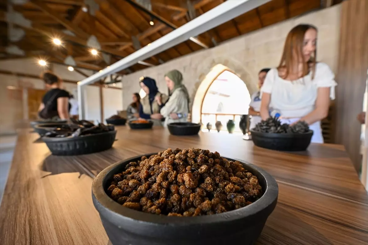 Gaziantep\'teki Tarihi Handa Bulunan Sabun ve Pekmez Müzesi Ziyaretçilerini Zamanda Yolculuğa Çıkarıyor