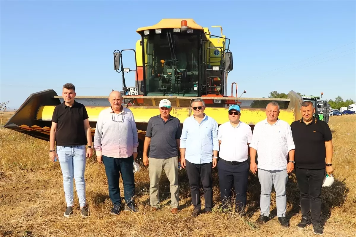 Tekirdağ\'da Ayçiçek Hasat Bayramı Etkinliği Düzenlendi