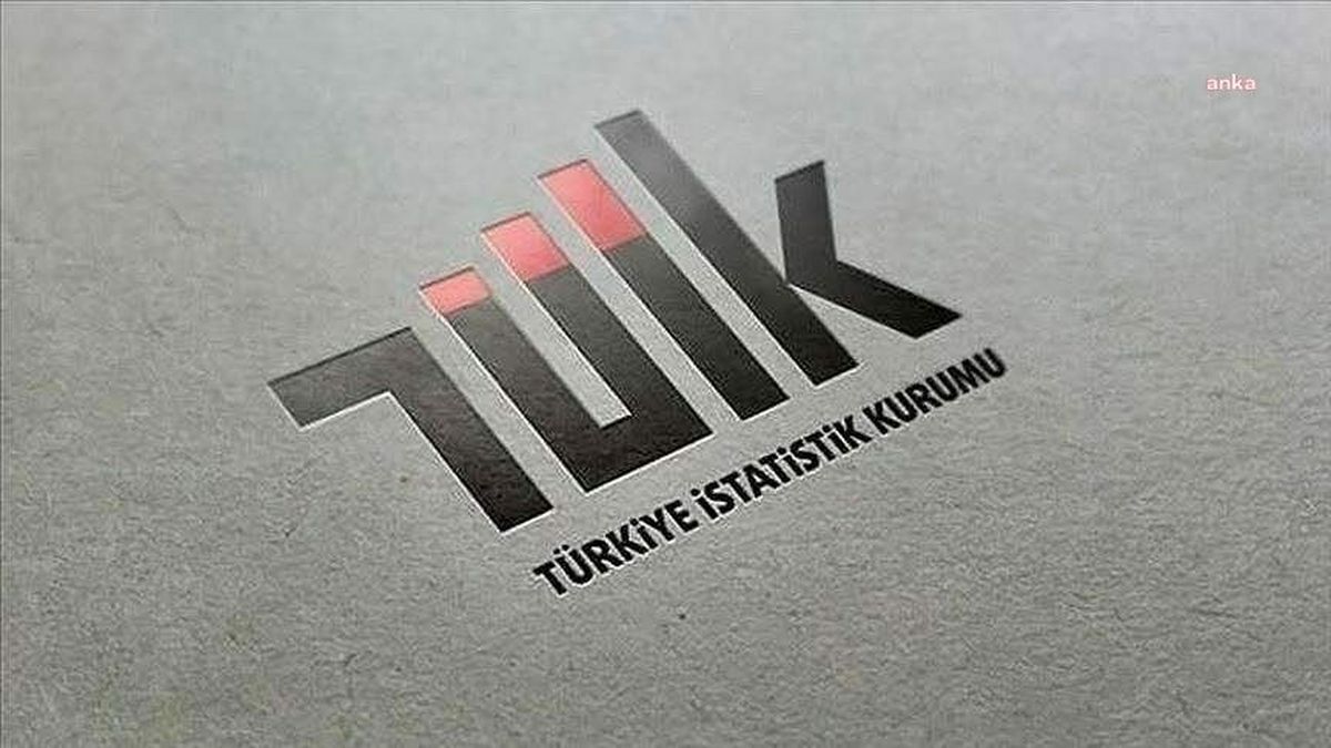 TÜİK, Haziran Ayına İlişkin Hizmet Üretim Endeksini Açıkladı