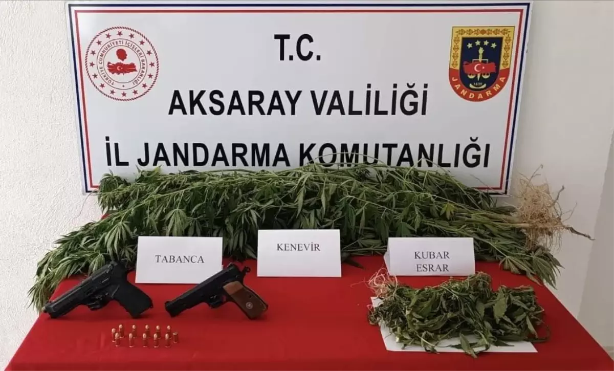 Aksaray\'da Yasa Dışı Kenevir Ekimi ve Uyuşturucu Ticareti Operasyonu