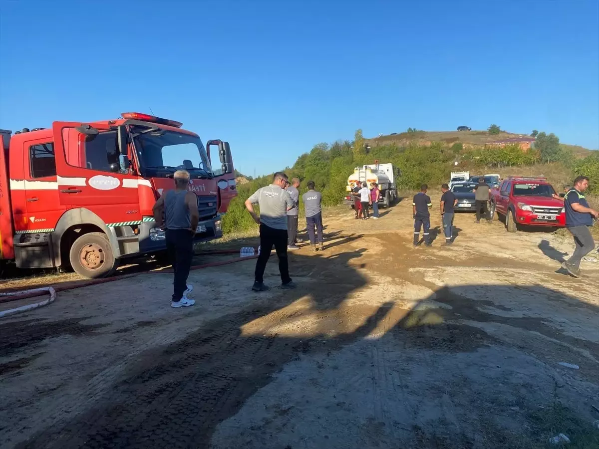 Zonguldak\'ta fındık bahçesinde çıkan yangın kontrol altına alındı