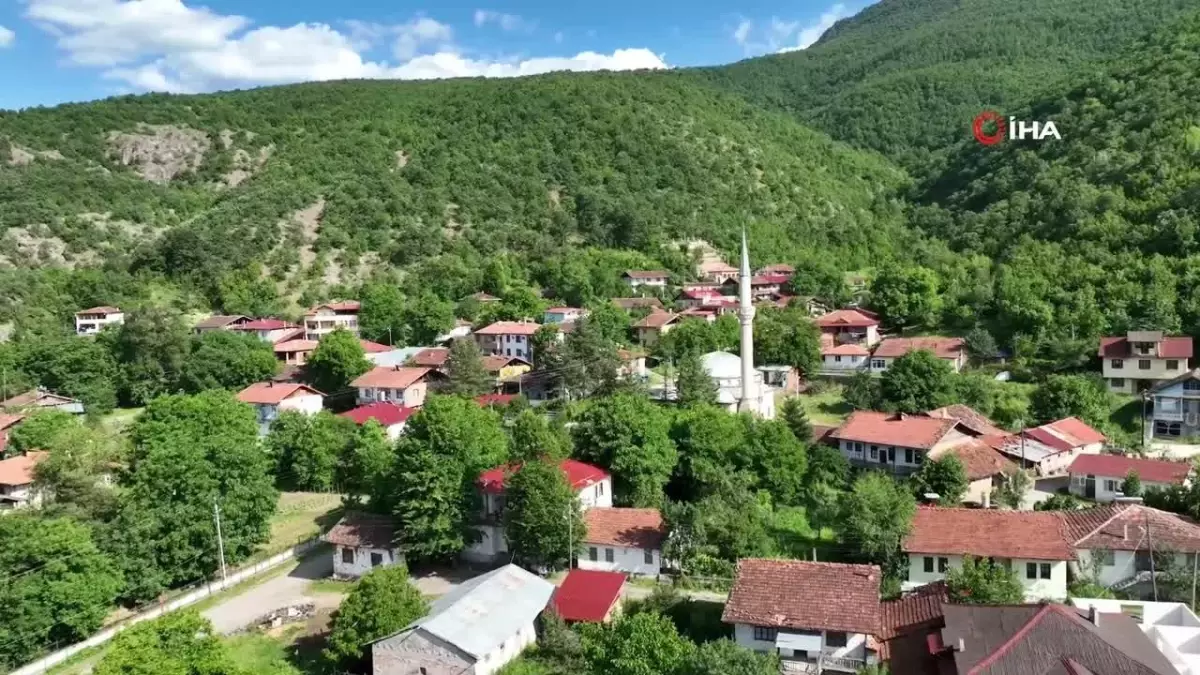 Almus\'un mutfak mirası: Gelenekten geleceğe tadına doyulmaz yöresel lezzetler