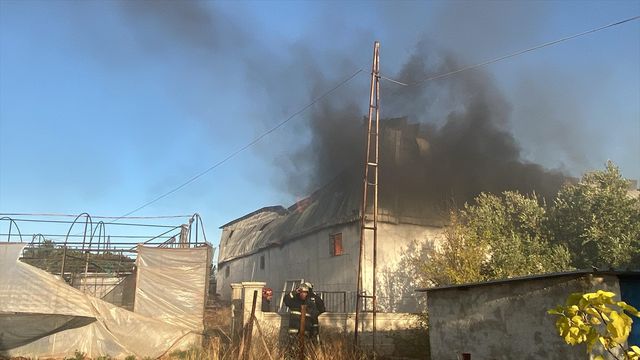 1 saatte 100 milyon liraları kül oldu: Cana gelmediği için mutluyuz