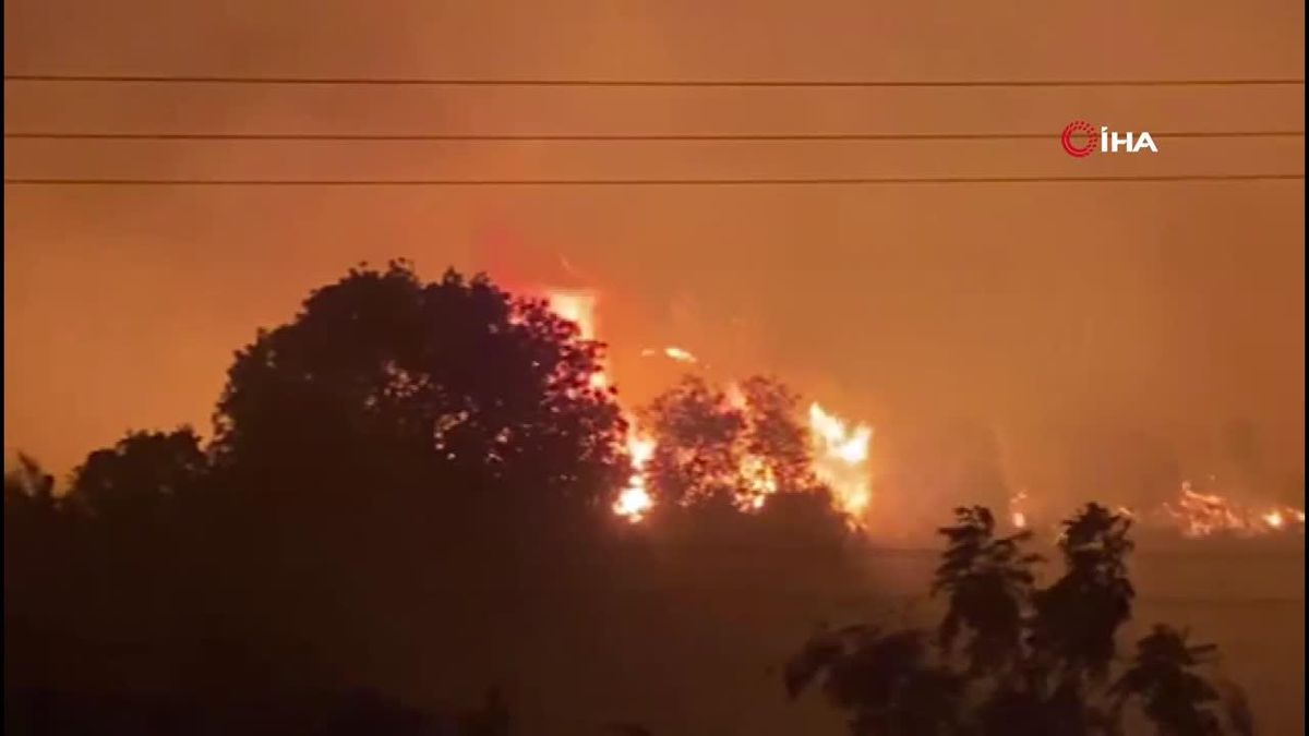 Antalya\'da ormanlık alandaki yangın kontrol altına alındı