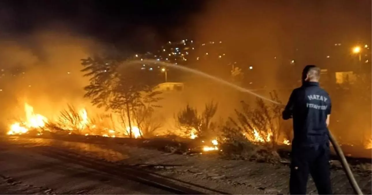 Hatay\'da Asi Nehri çevresinde çıkan yangın söndürüldü