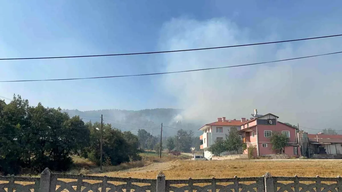 Bolu\'da çıkan orman yangınında 2 kişi tutuklandı