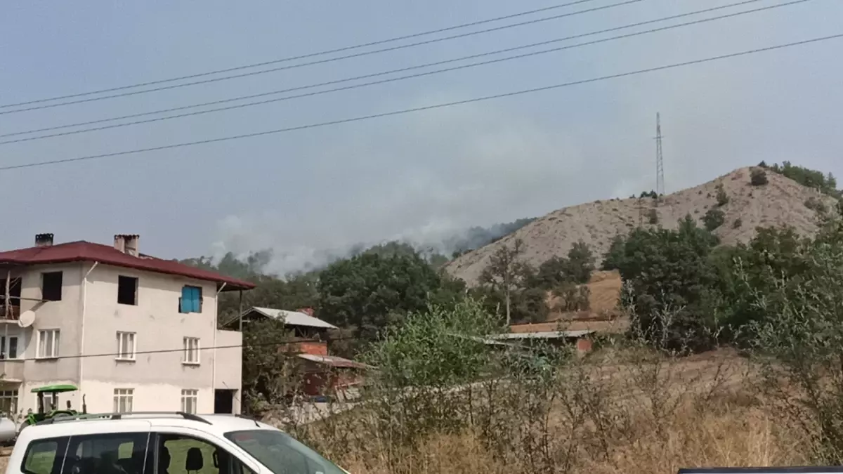 Bolu\'da çıkan orman yangınında 490 kişi tahliye edildi