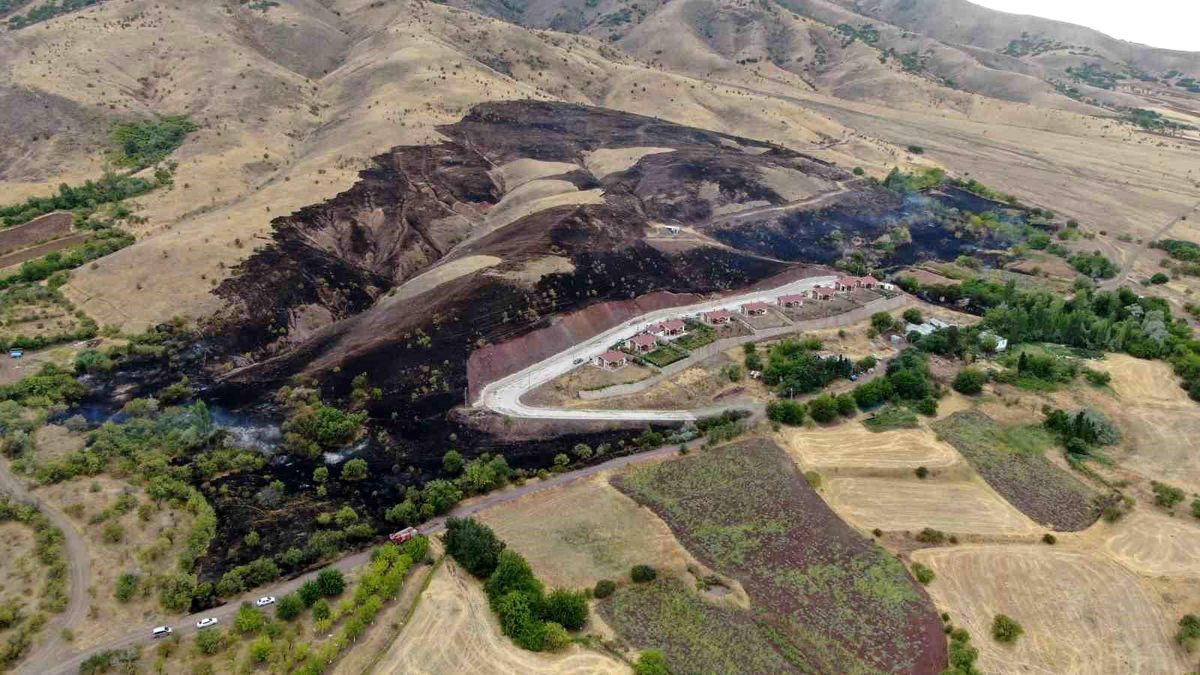 Elazığ\'da çıkan yangında 200 dönüm arazi küle döndü