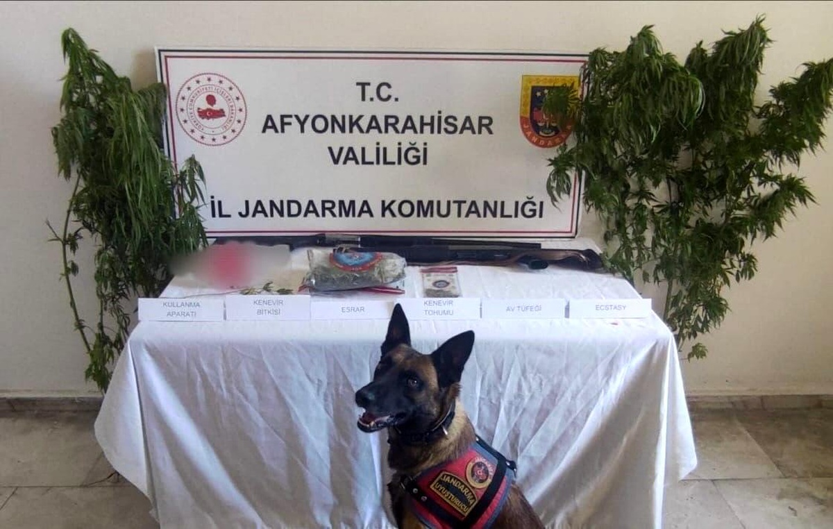 Afyonkarahisar\'da Kenevir Operasyonu: 55 Gram Esrar ve 5 Kök Kenevir Ele Geçirildi