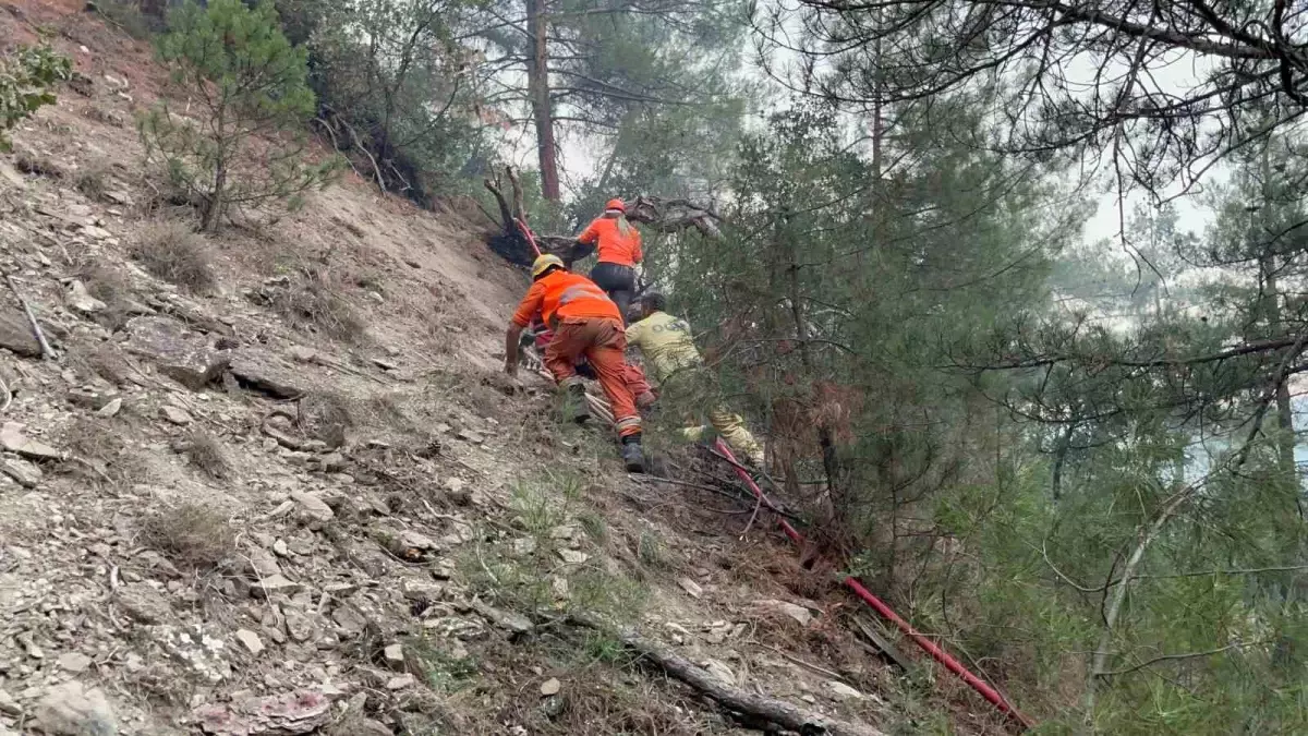 Göynük\'teki Orman Yangınına Gönüllülerden Destek