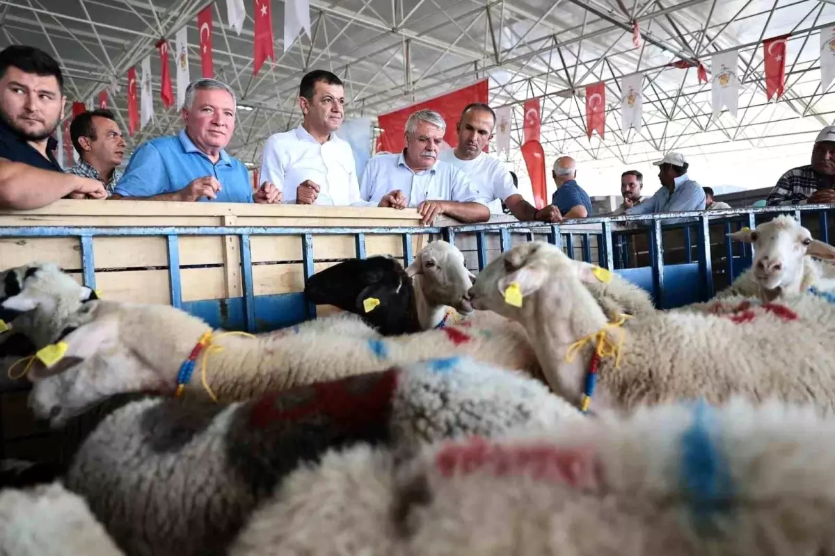 Honaz Belediyesi Kadın Üreticilere Gebe Sakız Koyunu Desteği Verdi