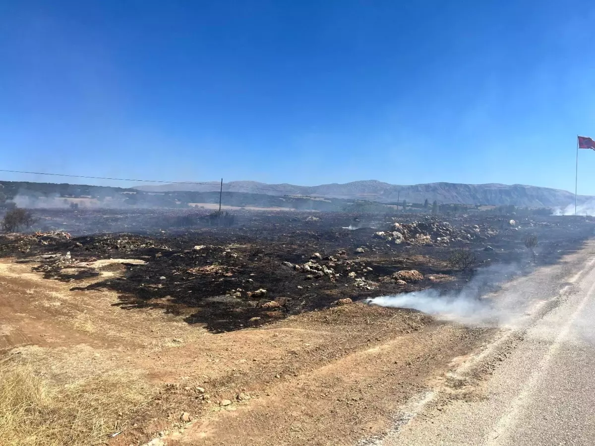 Isparta\'da anız yangını ormanlık alana sıçramadan söndürüldü