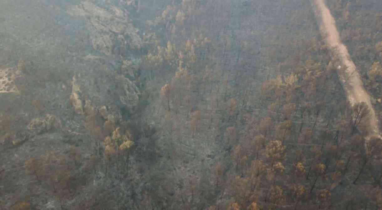 İzmir yangını 3'ncü gününde! Ağır bilanço havadan görüntülendi