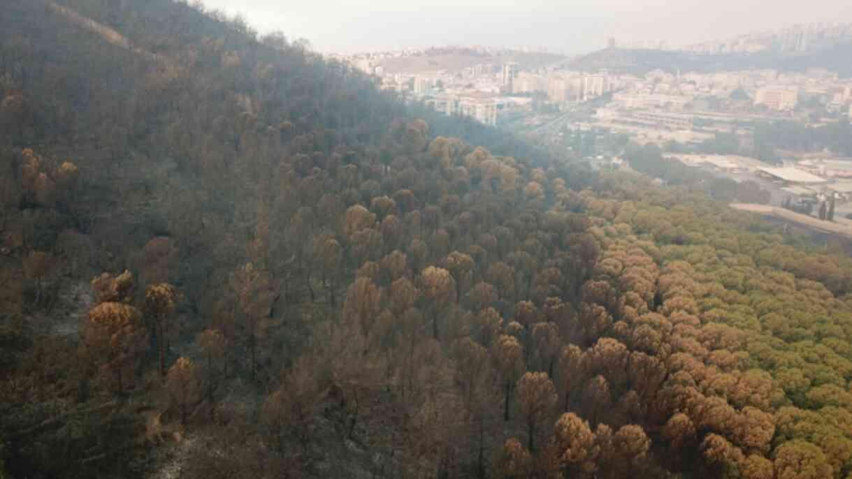 İzmir yangını 3'ncü gününde! Ağır bilanço havadan görüntülendi