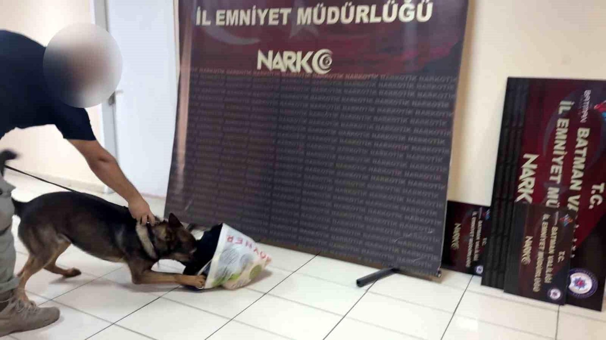 İstanbul\'dan Batman\'a bonzai sevkiyatı yapan şahıs suçüstü yakalandı