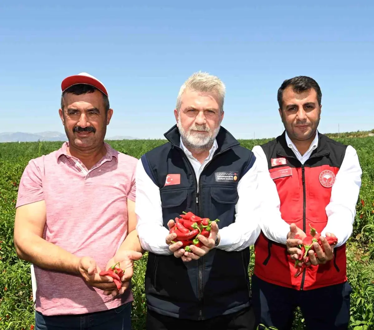 Kahramanmaraş Büyükşehir Belediyesi, Maraş biberi üretimini artırmak için çiftçilere destek sağlıyor