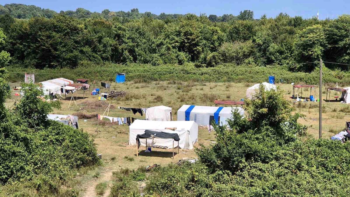 Mevsimlik Tarım İşçileri Samsun\'da Fındık Topluyor