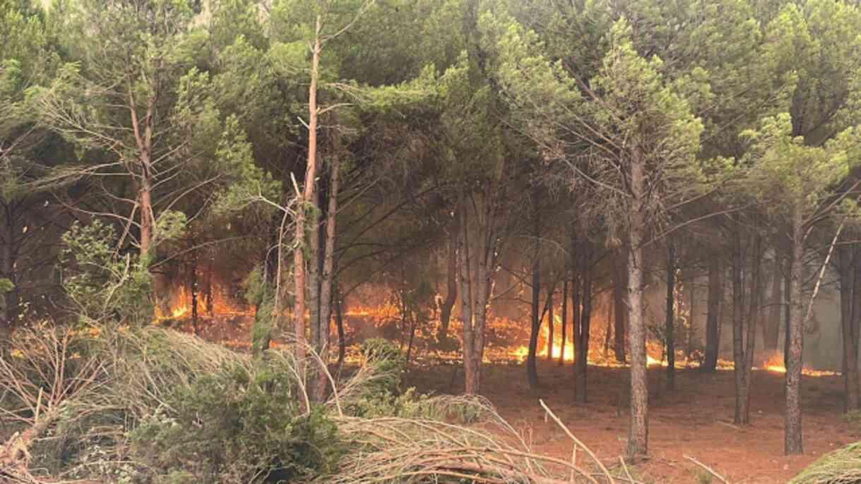 Muğla Kavaklıdere Sınırına Yangın Ulaştı