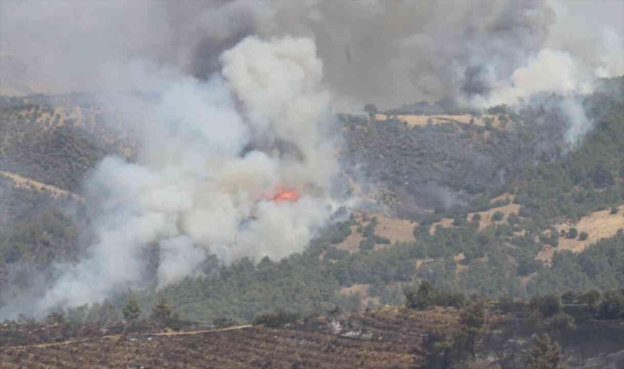 Muğla Kavaklıdere Sınırına Yangın Ulaştı