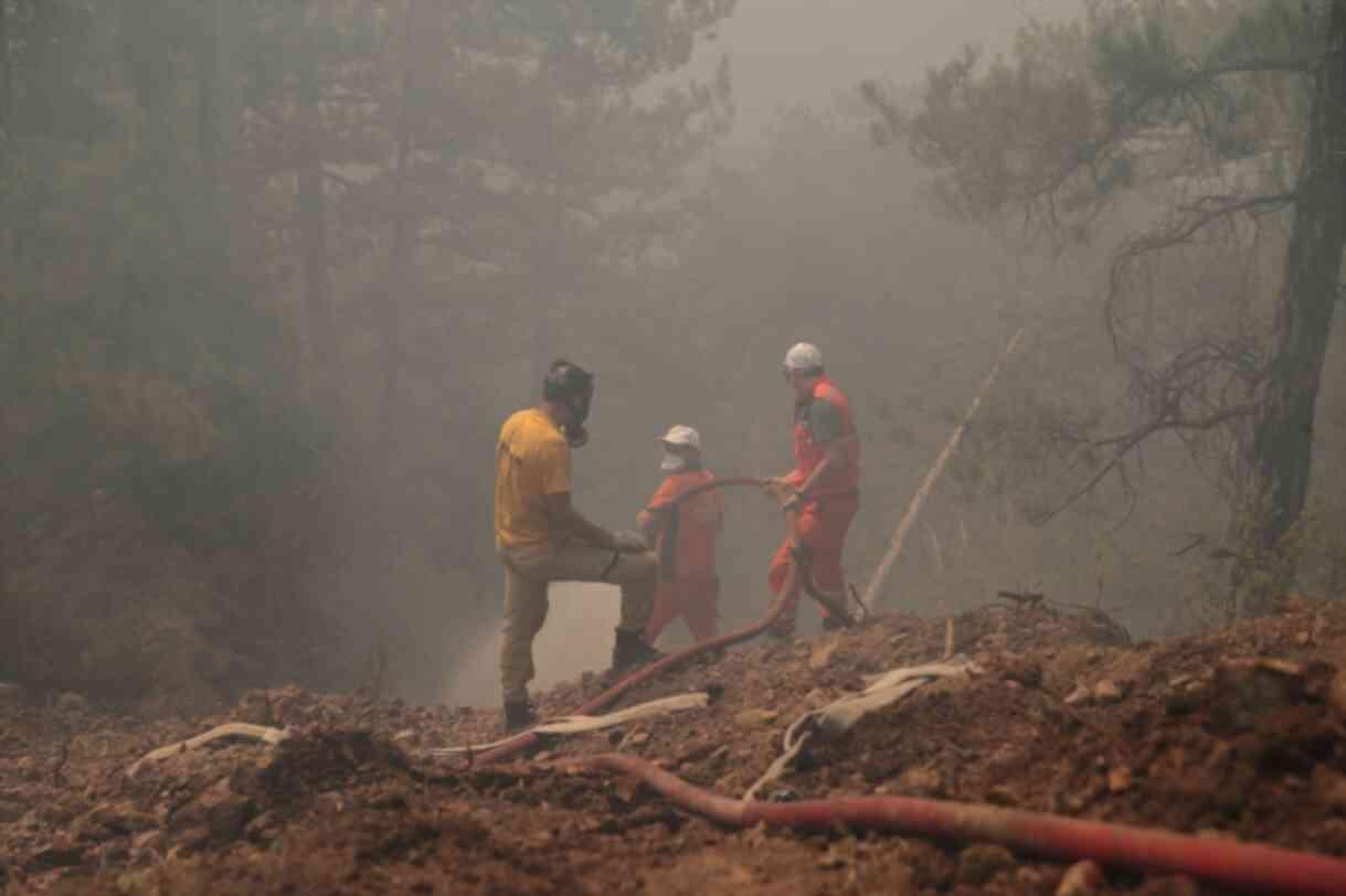 Orman yangınlarıyla ilgili gözaltına alınan 11 kişiden 2'si tutuklanarak cezaevine gönderildi