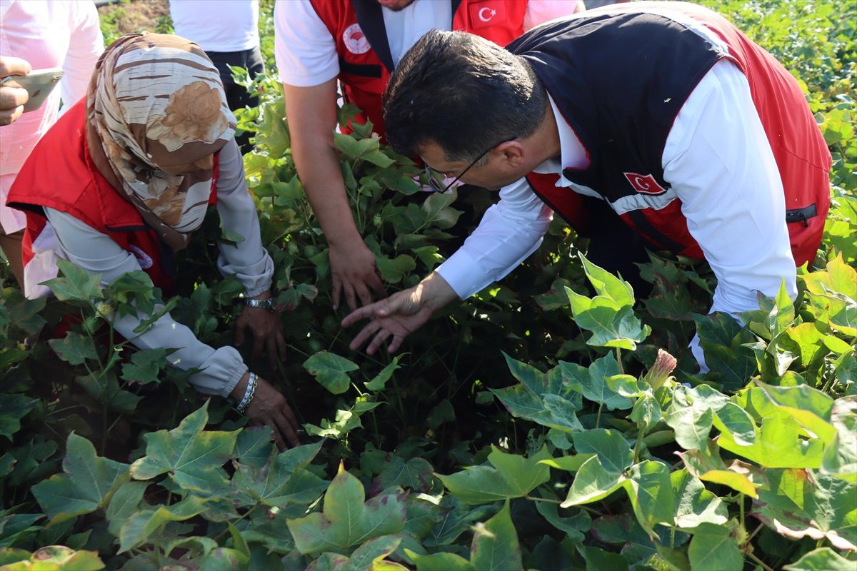 Şanlıurfa\'da Üreticilere Ücretsiz Ziraatçı Desteği