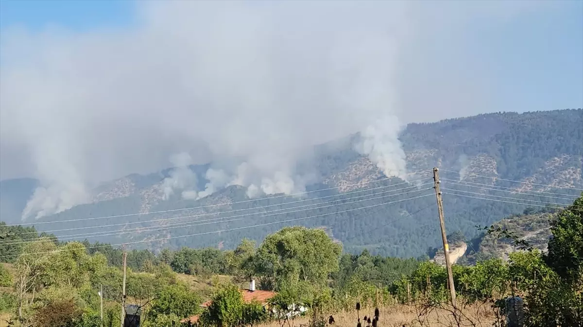 Karabük\'ün Ovacık ilçesinde orman yangını devam ediyor