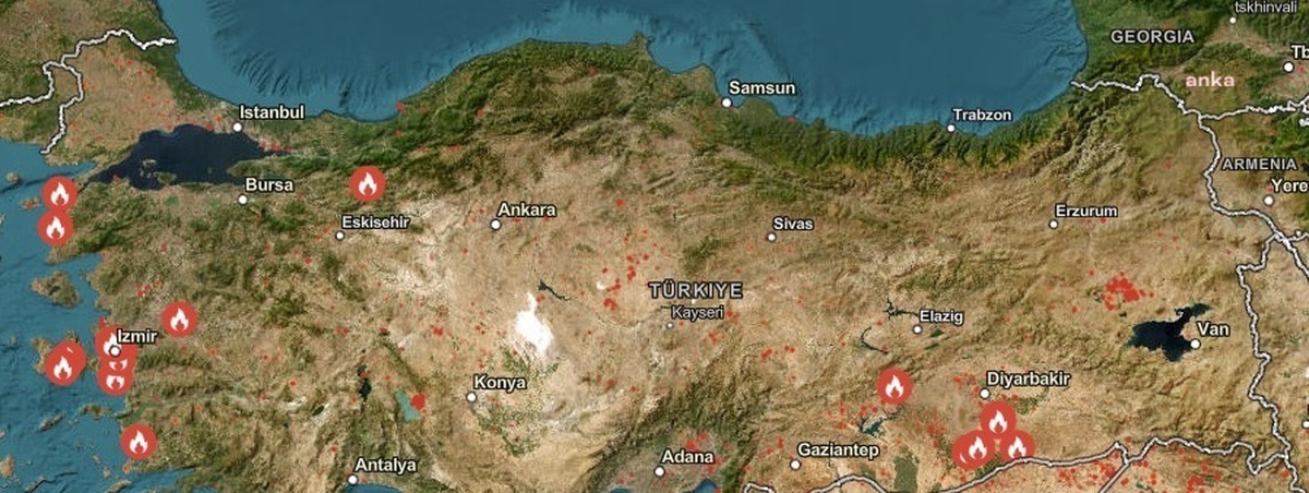 Türkiye\'de Orman Yangınları Devam Ediyor