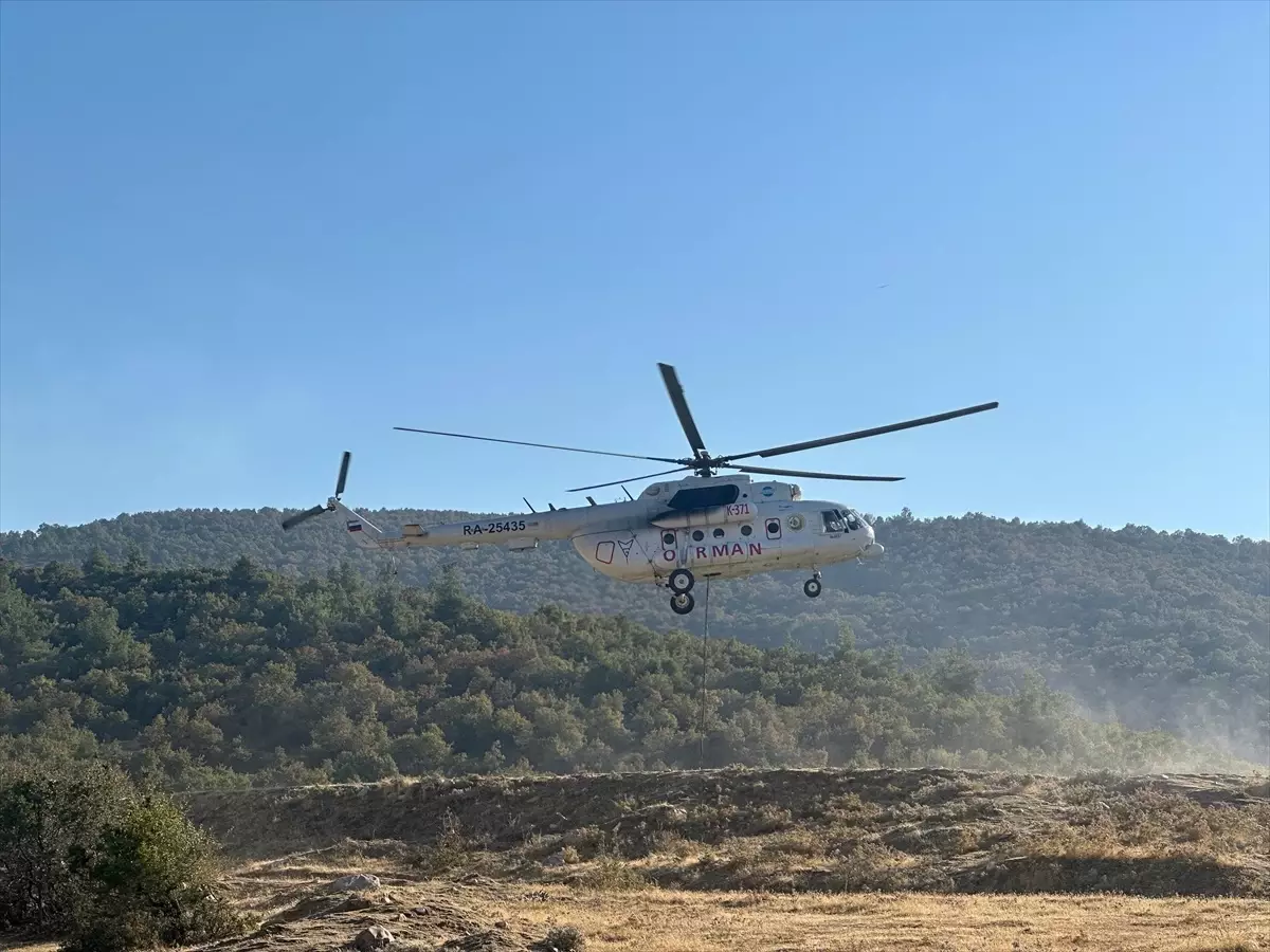 Uşak\'ta Orman Yangını: Havadan ve Karadan Müdahale Devam Ediyor