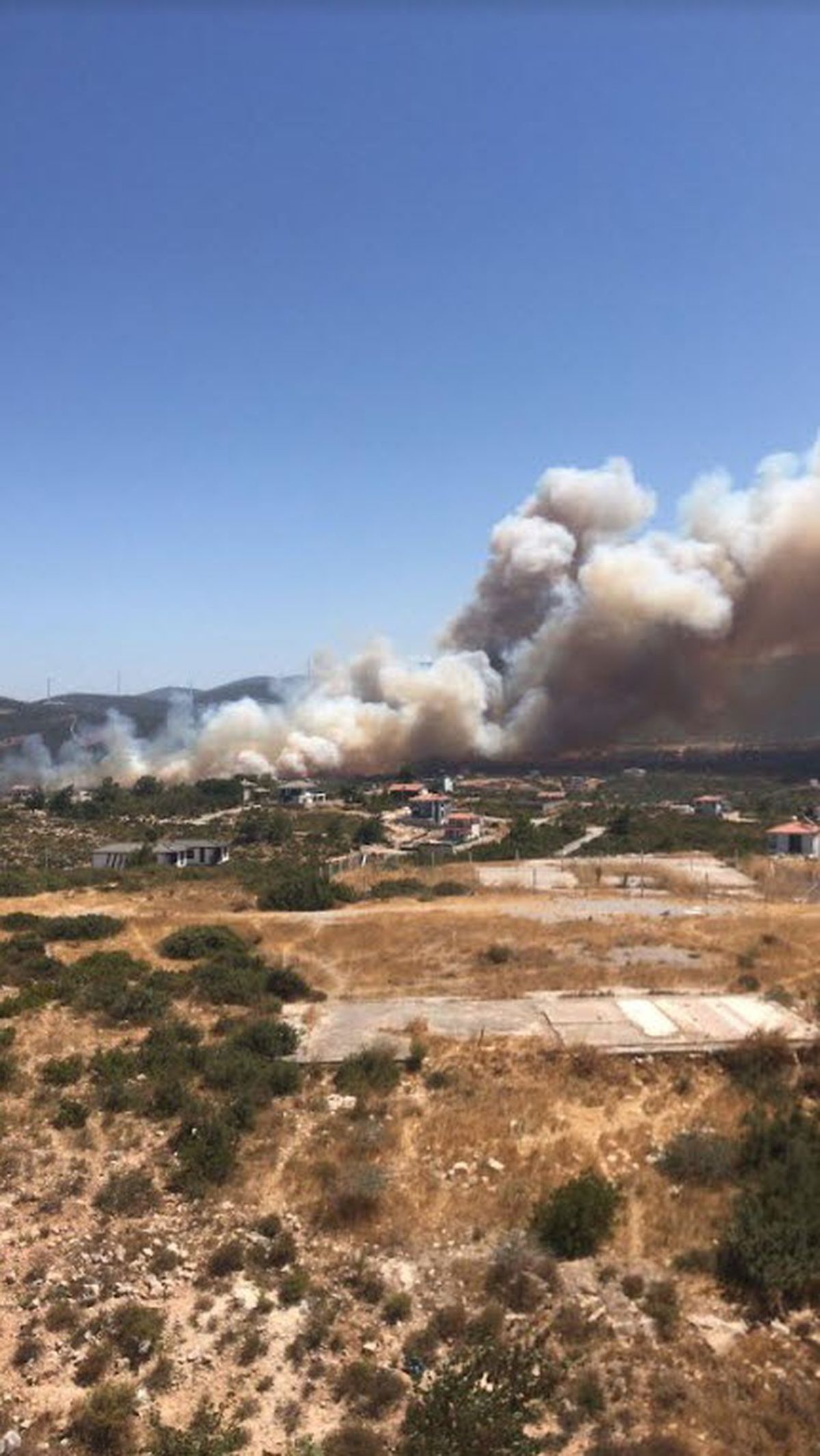 Didim\'deki Maki Yangınında 3 Şüpheli Tutuklandı