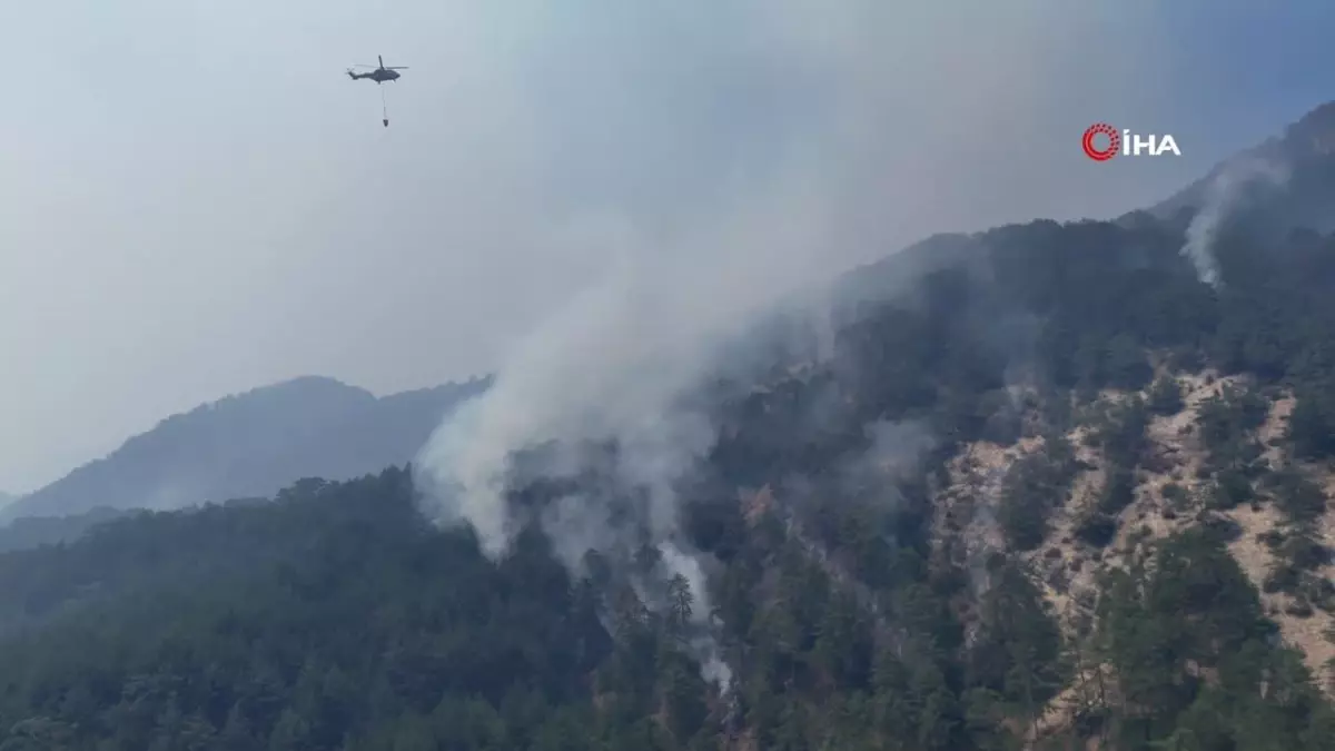 Bolu\'da devam eden orman yangınından dron ile görüntüler