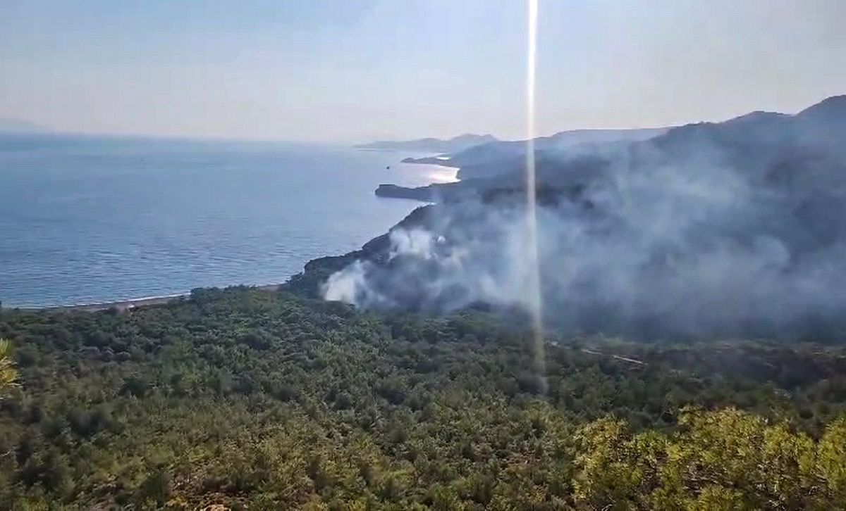 Muğla\'da çıkan orman yangınıyla ilgili 1 şüpheli gözaltına alındı