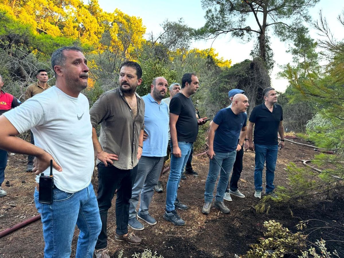 Muğla\'nın Datça ilçesinde çıkan yangın kontrol altına alındı