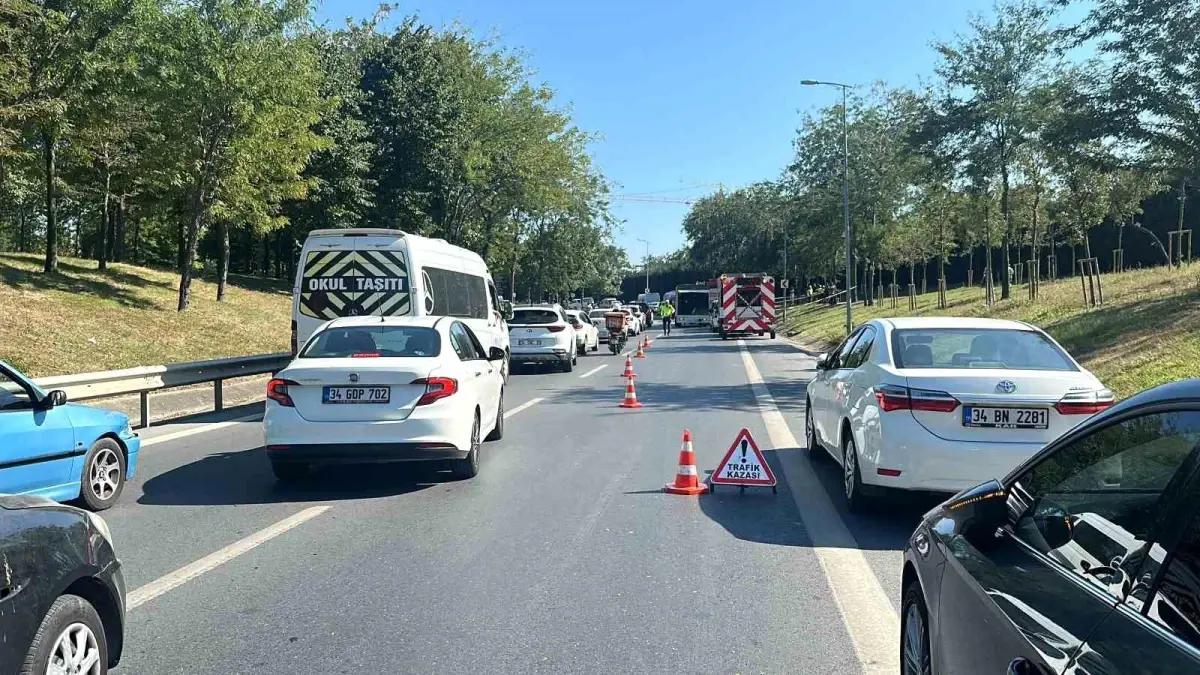 İstanbul\'da piknik yapmak için aracını park eden kişiye başka bir otomobil çarptı, hayatını kaybetti