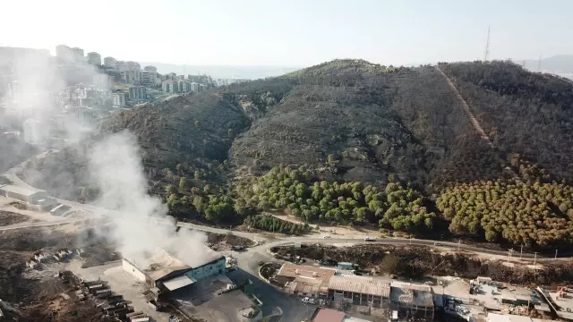 İzmir'deki Orman Yangınlarına Havadan ve Karadan Müdahale Devam Ediyor