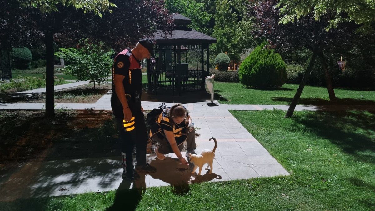 Kırşehir\'de parklarda denetim yapıldı