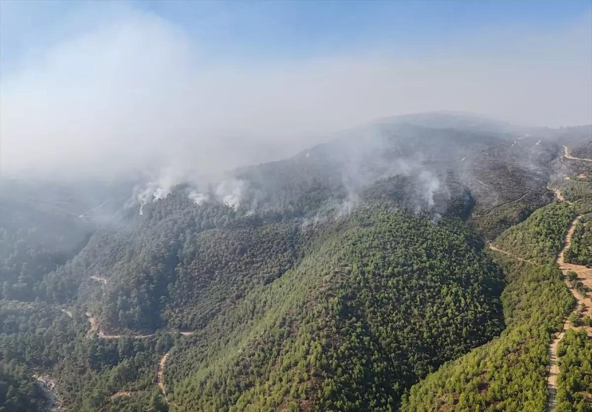 Manisa\'da devam eden orman yangınlarına müdahale sürüyor